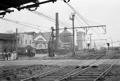 Couillet - BD-3579.jpg